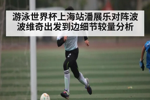 游泳世界杯上海站潘展乐对阵波波维奇出发到边细节较量分析